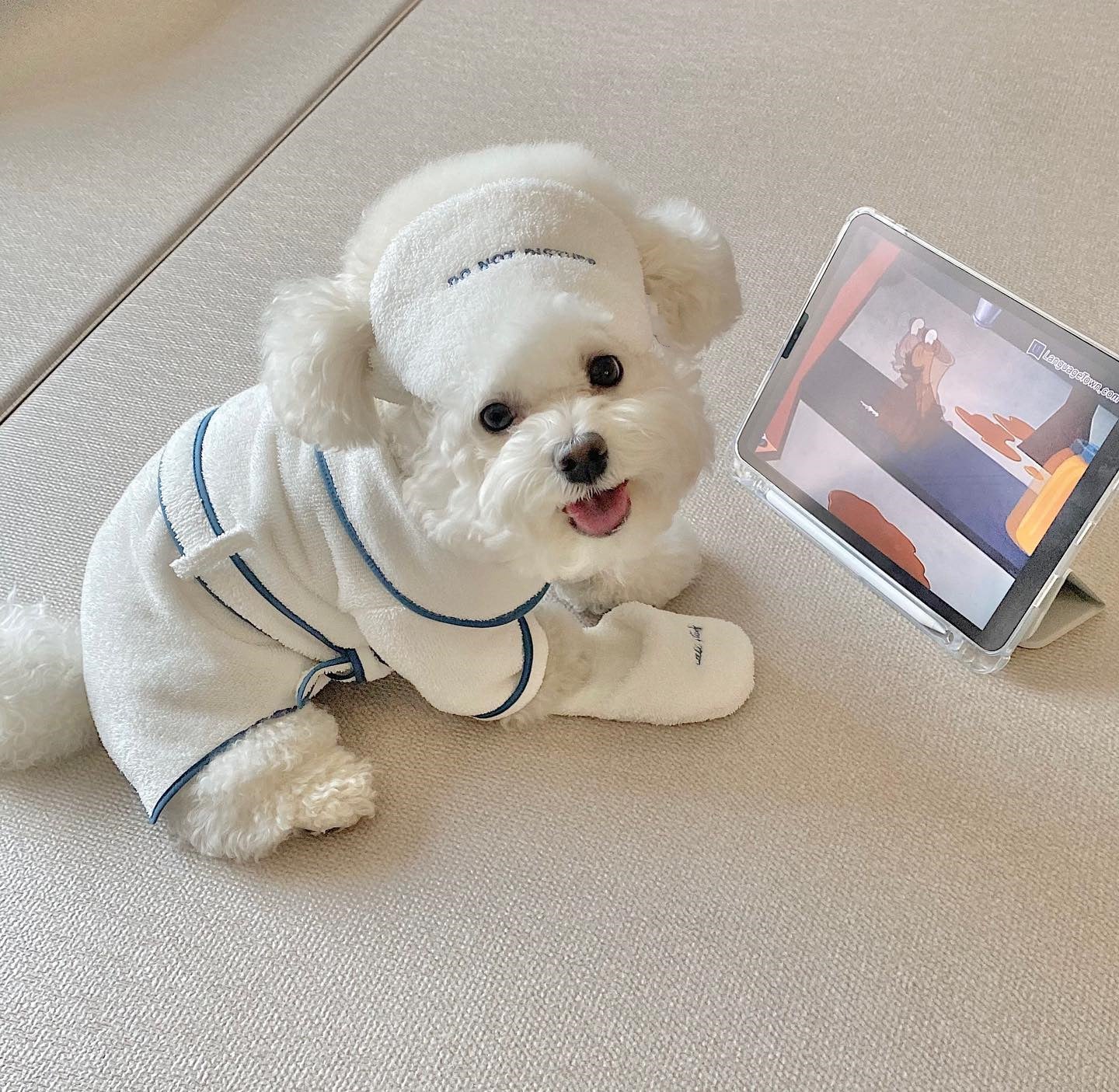 Pamper Your Pet with Our Pet Bath Towel Bathrobe Photo Prop