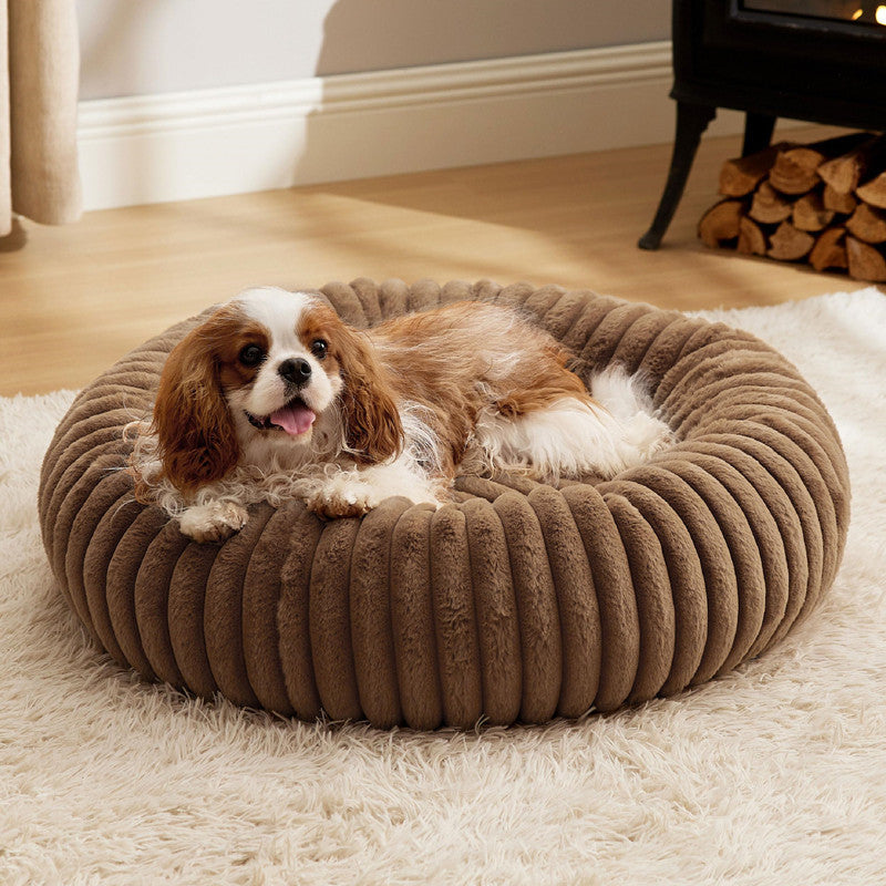 The Cozy Haven for Your Furry Friend