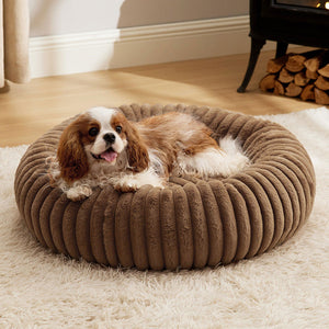 The Cozy Haven for Your Furry Friend