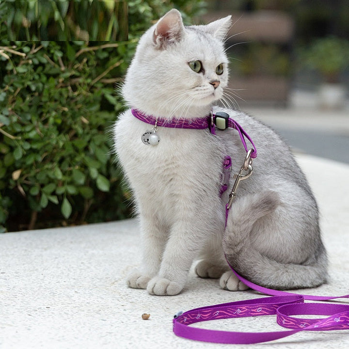 Discover the Ultimate Pet Bell Chest Strap Harness Leash Set