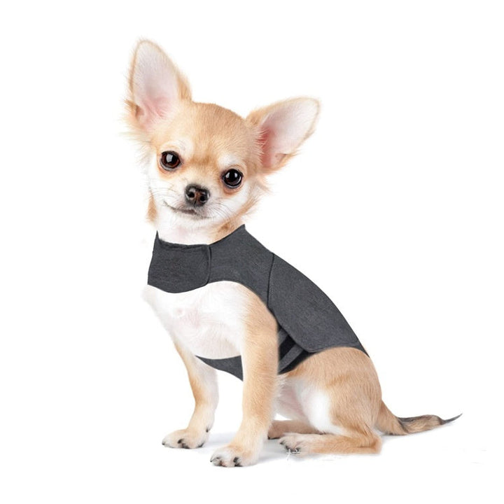 Calm Your Anxious Pet with Our Warm Vest Apparel